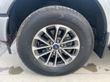 Used 2020 Ford F150 XLT w/ Equipment Group 302A Luxury image 5