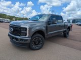 New 2025 Ford F250 Platinum image 4