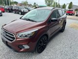 Used 2018 Ford Escape SE w/ SE Sport Appearance Package image 4