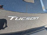 New 2025 Hyundai Tucson Limited image 6