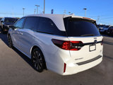 New 2025 Honda Odyssey Elite image 4