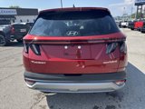 New 2025 Hyundai Tucson Limited image 4