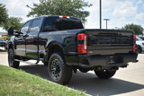 New 2025 Ford F250 Platinum image 5