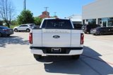 New 2025 Ford F150 Platinum image 4