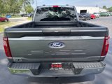 New 2025 Ford F150 XLT w/ Equipment Group 301A Standard image 4