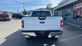 Used 2019 Ford F150 XLT image 2