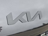 New 2026 Kia Carnival SX image 4