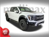 New 2025 Ford F150 Raptor image 1
