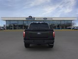 New 2025 Ford F150 Platinum image 5