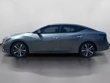 Used 2022 Nissan Maxima SV image 5