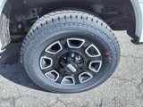 New 2025 Ford F250 Platinum image 4