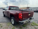 Used 2017 Chevrolet Silverado 1500 LT w/ All Star Edition image 3