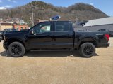 New 2025 Ford F150 XLT image 2
