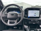 New 2025 Ford F150 XLT image 6