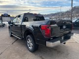 New 2025 Ford F150 XLT w/ Equipment Group 302A MID image 5