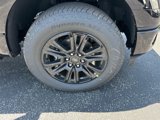 New 2025 Ford F150 Platinum w/ Equipment Group 702A High image 4
