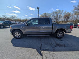 Certified 2021 Ford F150 XLT w/ Equipment Group 302A High image 3