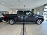 Certified 2021 Ford F150 Platinum image 2