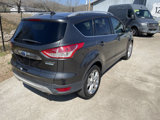 Used 2016 Ford Escape Titanium image 2