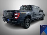 Certified 2023 Ford F150 Tremor w/ Equipment Group 402A High image 5