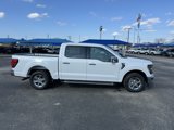 New 2025 Ford F150 XLT w/ Equipment Group 302A MID image 2