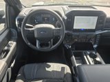 New 2025 Ford F150 STX w/ Equipment Group 200A image 5