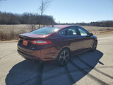 Used 2015 Ford Fusion SE w/ Equipment Group 202A image 6