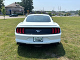 Used 2018 Ford Mustang Premium w/ Equipment Group 201A image 6