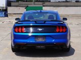 Used 2021 Ford Mustang Coupe w/ Equipment Group 101A image 4