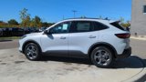 New 2025 Ford Escape ST-Line w/ Tech Pack #1 image 4