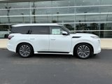 New 2025 INFINITI QX80 Luxe w/ Cargo Package image 2