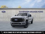 New 2025 Ford F250 Platinum image 2