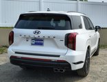 New 2025 Hyundai Palisade Calligraphy image 4