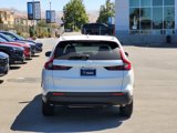 New 2026 Honda CR-V EX-L image 6
