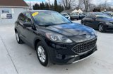 Used 2022 Ford Escape SE w/ Convenience Package image 3