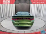 Used 2022 Dodge Charger SXT w/ Blacktop Package image 5