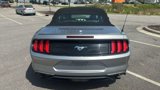 Used 2020 Ford Mustang Premium image 6