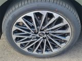 New 2026 Hyundai Palisade Calligraphy image 5