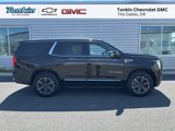 New 2025 GMC Yukon Elevation image 2