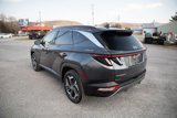 Used 2023 Hyundai Tucson Limited image 5
