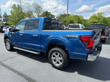 New 2025 Ford F150 XLT image 3