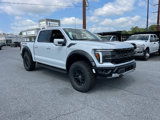 New 2025 Ford F150 Raptor image 4
