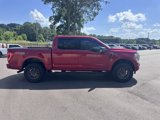 Used 2021 Ford F150 XLT w/ Equipment Group 302A High image 6
