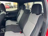 Used 2023 Toyota Tacoma TRD Off-Road image 6