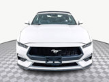 Used 2025 Ford Mustang Premium image 2
