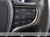 Used 2020 Lexus UX 250h w/ Premium Package image 4