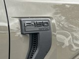 New 2025 Ford F150 STX w/ Equipment Group 201A FX4 image 6