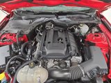 Certified 2019 Ford Mustang Premium w/ Equipment Group 201A image 3