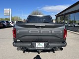 Used 2019 Ford F150 Raptor w/ Equipment Group 802A Luxury image 4