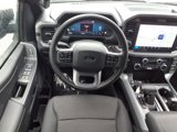 New 2025 Ford F150 XLT w/ Equipment Group 302A MID image 3